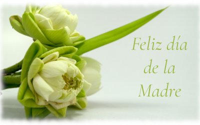 Felicidades a todas las mamás