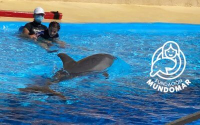 Terapia con Delfines y Fundación Mundomar